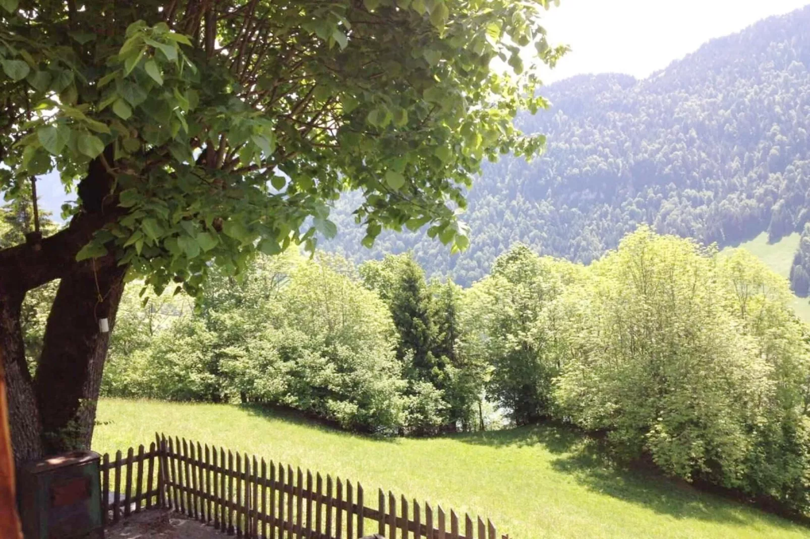 Heidi Chalet-Tuinen zomer