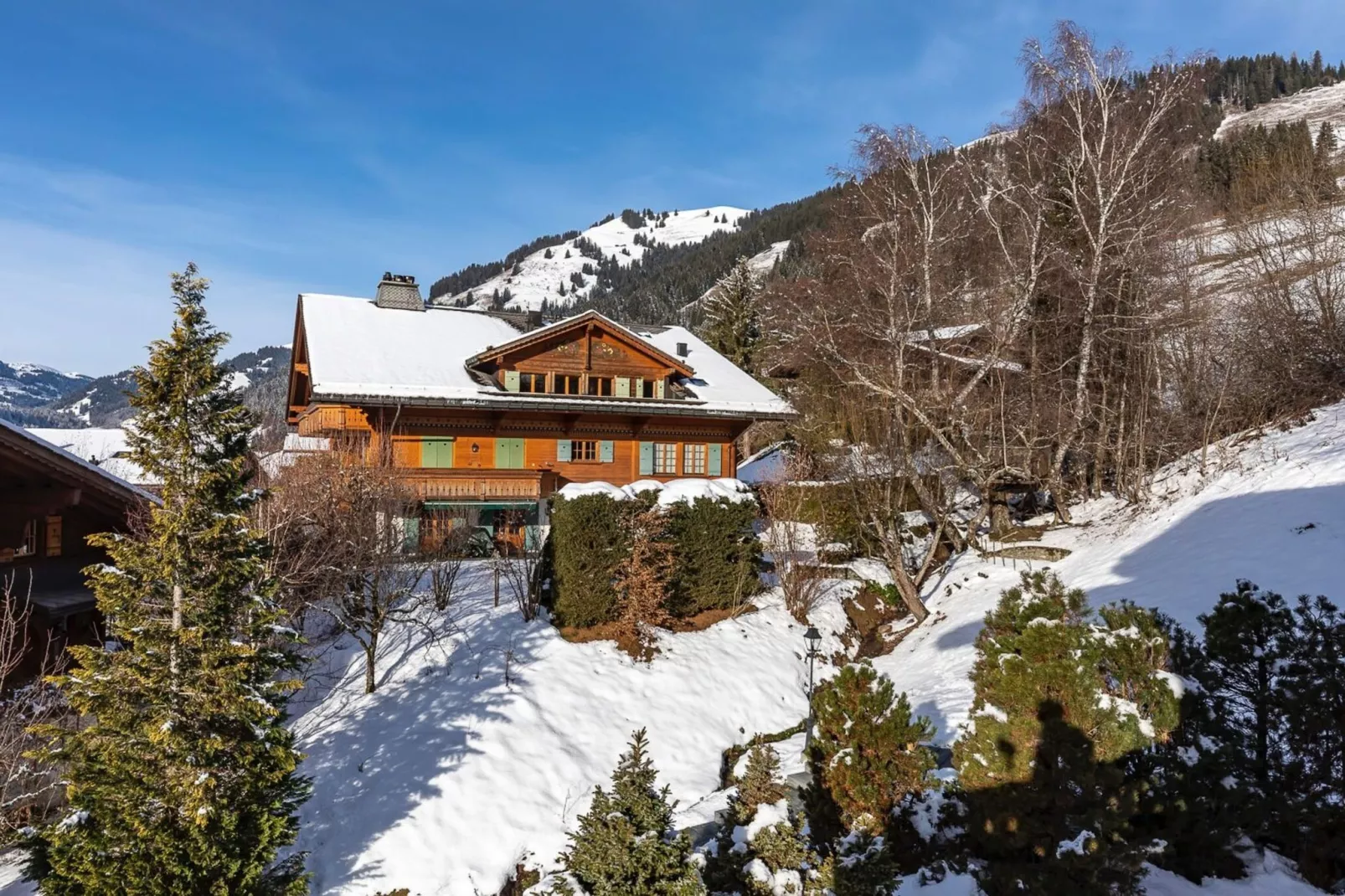 Beautiful Alpine Luxury Flat in Rougemont-Exterieur winter