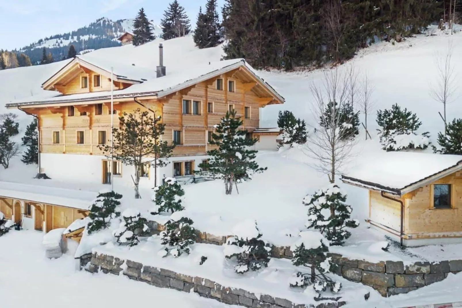 Beautiful Modern Chalet in the Gstaad Region-Exterieur winter