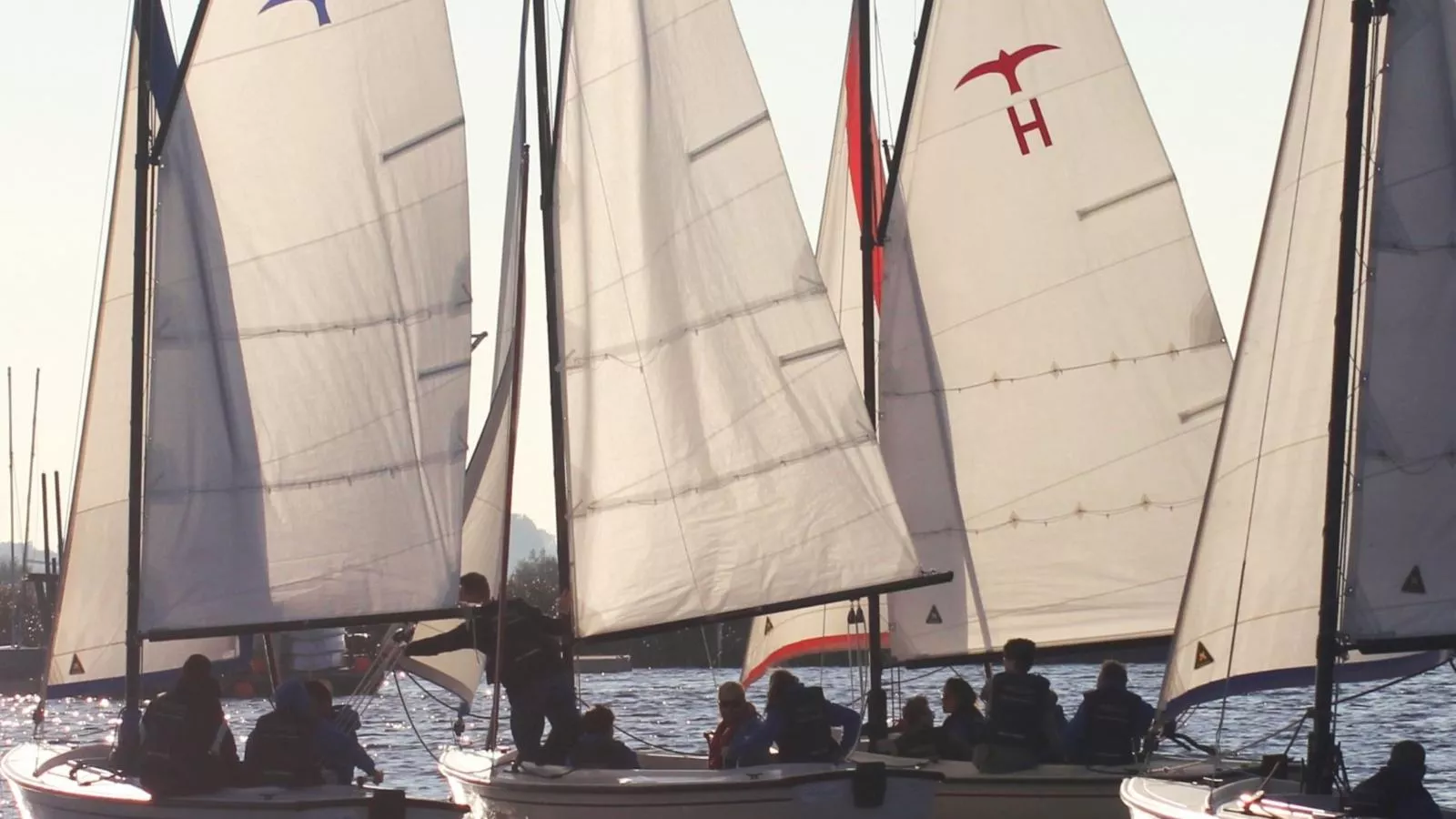 De Kaag Watersport Groepsaccommodatie - 50 pers-Gebieden zomer 1km