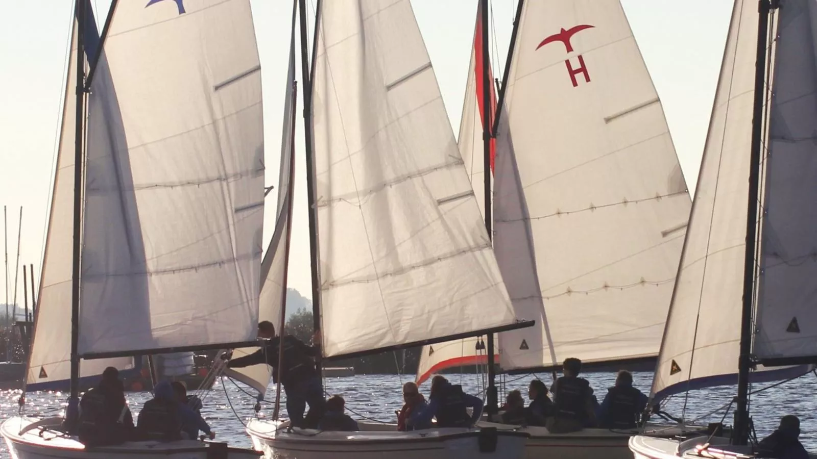 De Kaag Watersport Groepsaccommodatie - 30 pers-Gebieden zomer 1km