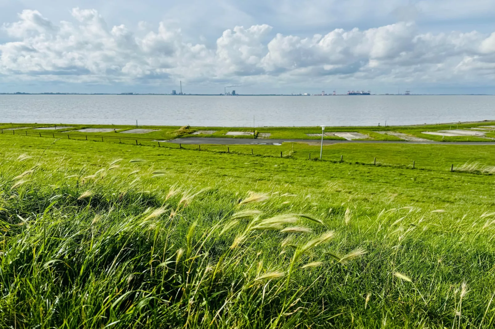 Friesenkoje Tossens-Gebieden zomer 1km