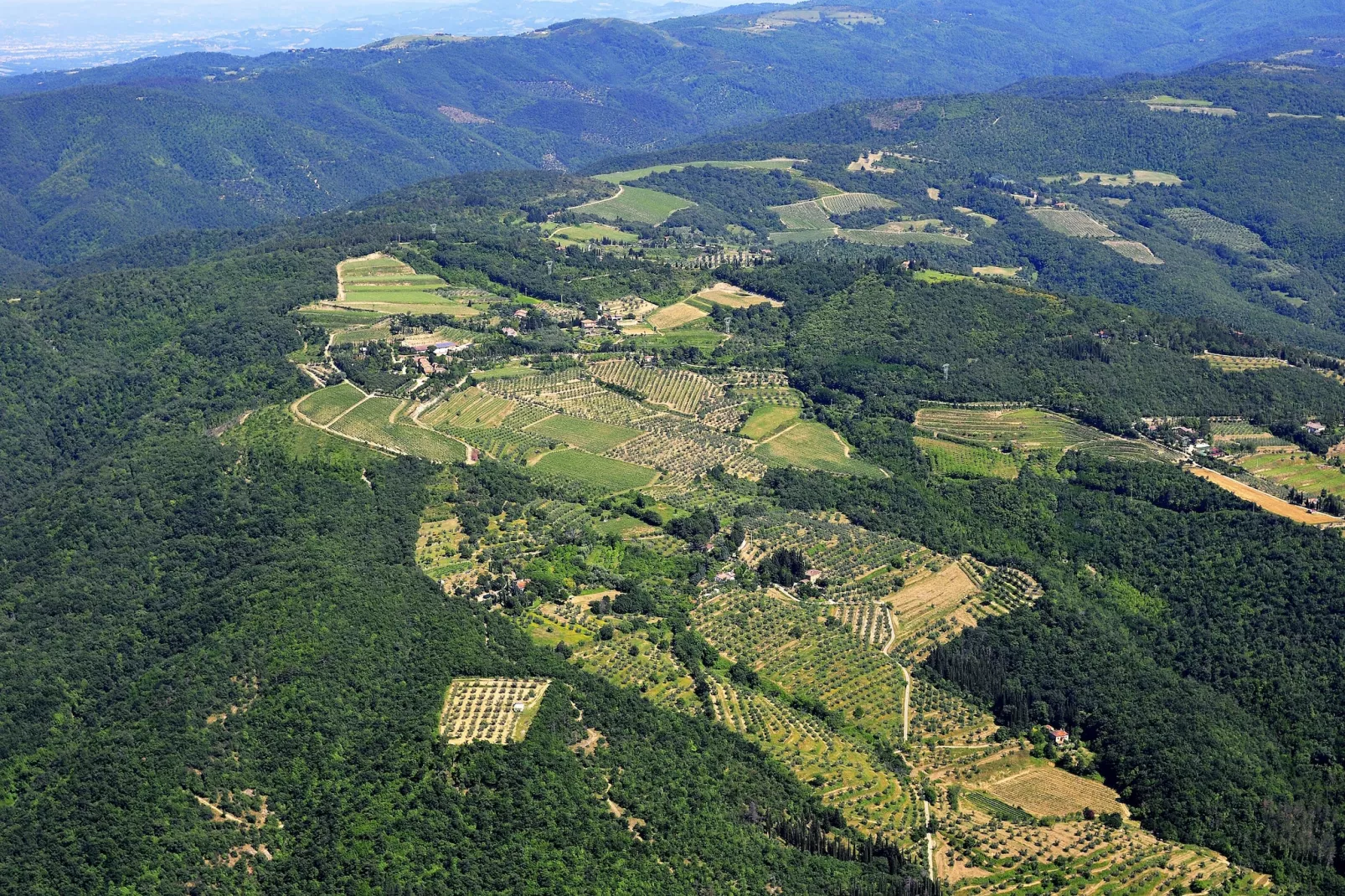 Ulivo-Gebieden zomer 20km