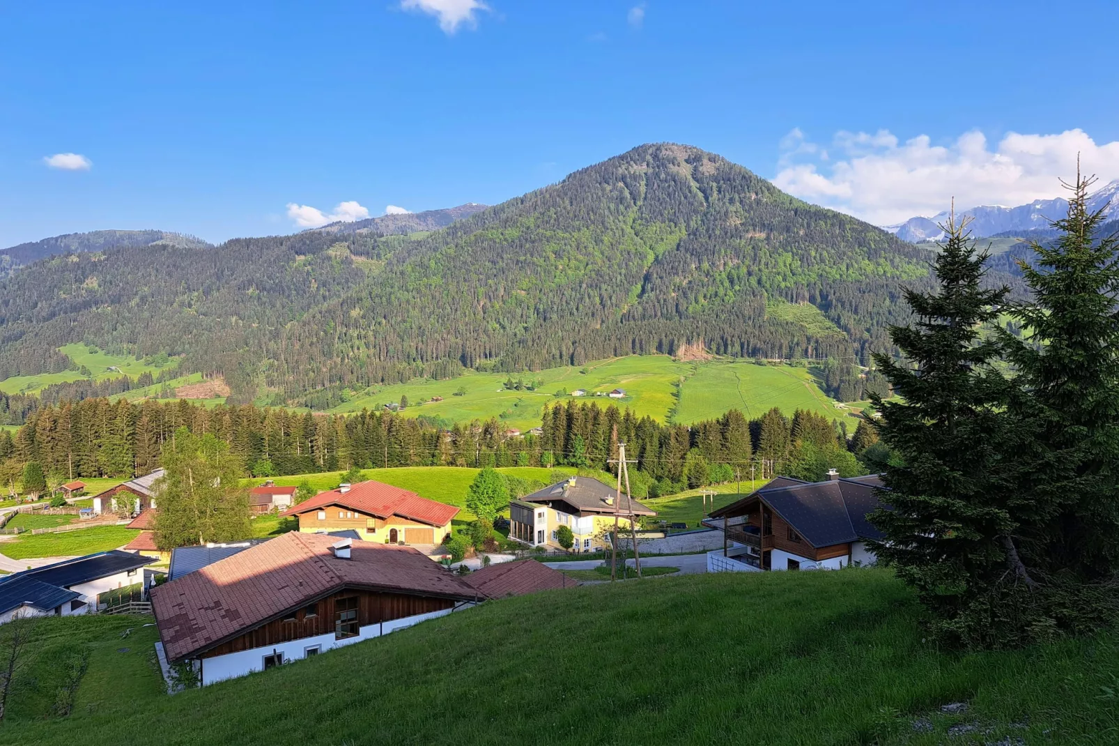 Hideaway Dachstein West 4-Uitzicht zomer