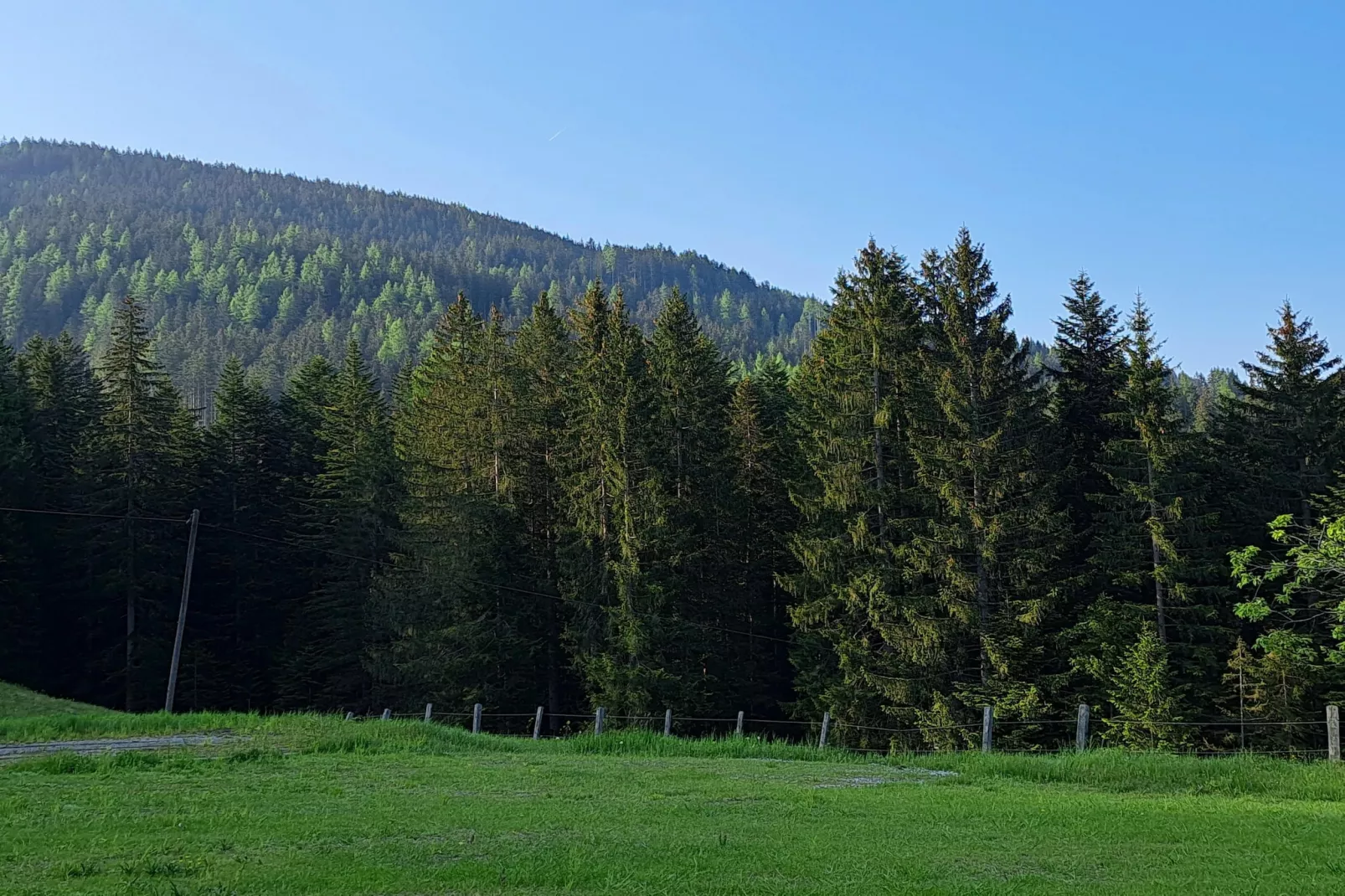 Hideaway Dachstein West 4-Gebieden zomer 1km