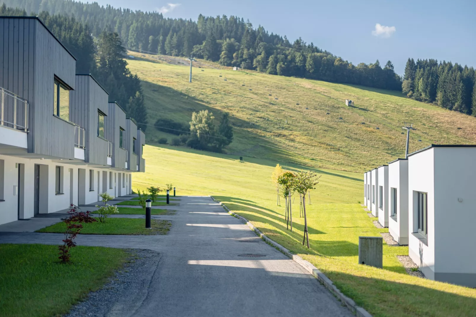 Naturpark Chalets 19-Uitzicht zomer