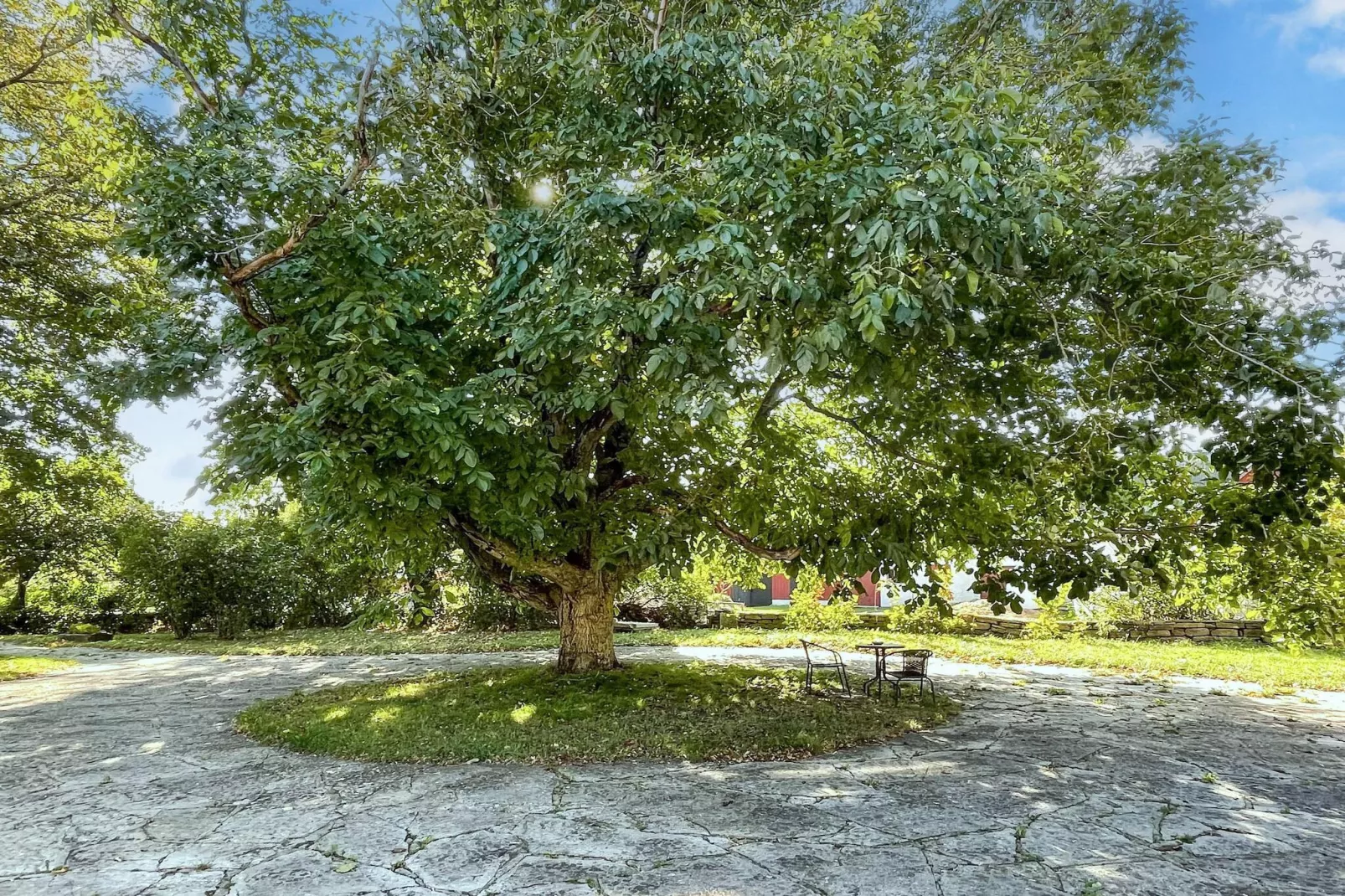 4 sterren vakantie huis in MÖRBYLÅNGA-Buitenlucht