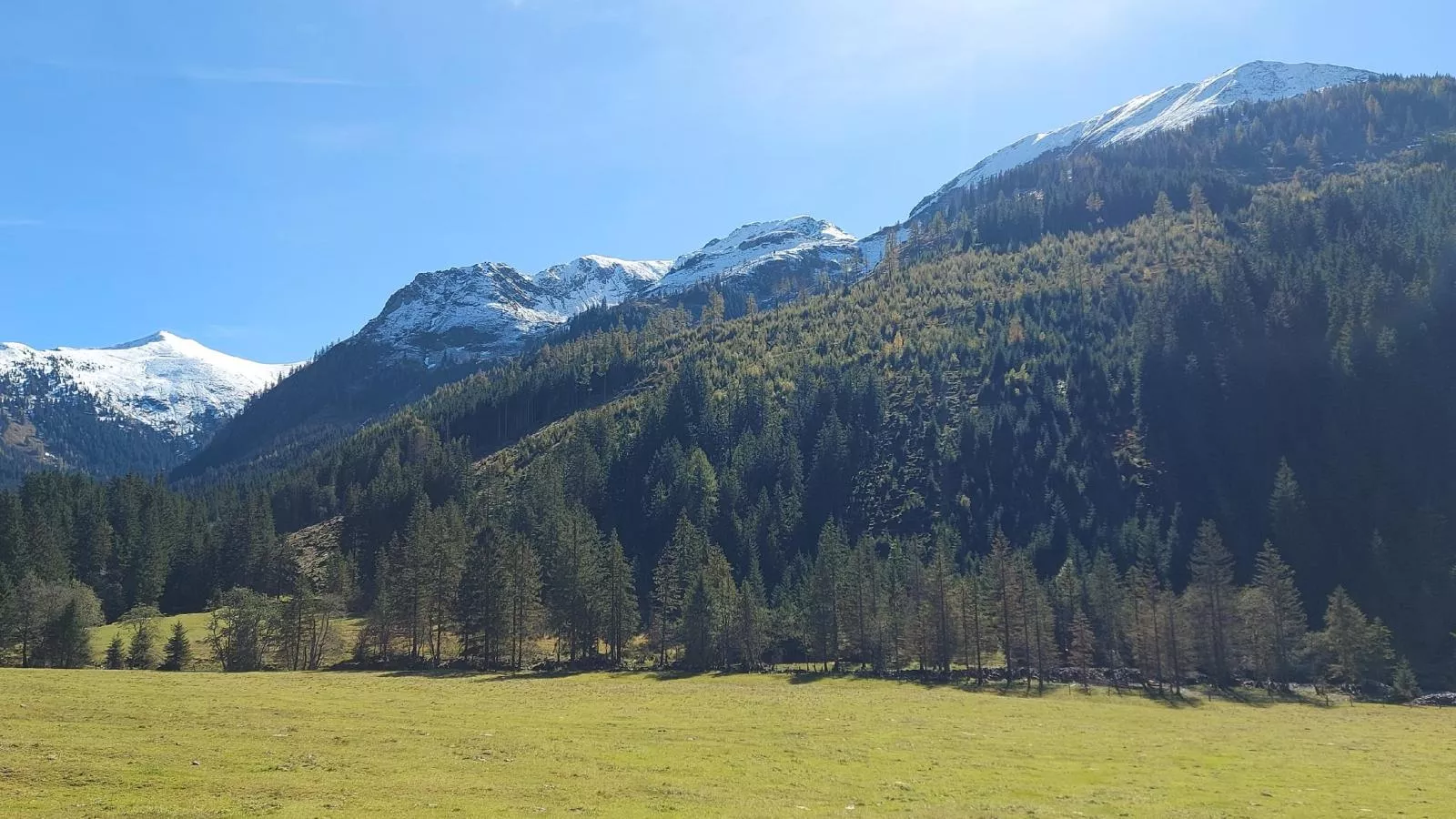 Ahorn Mountainlodge-Gebieden zomer 1km