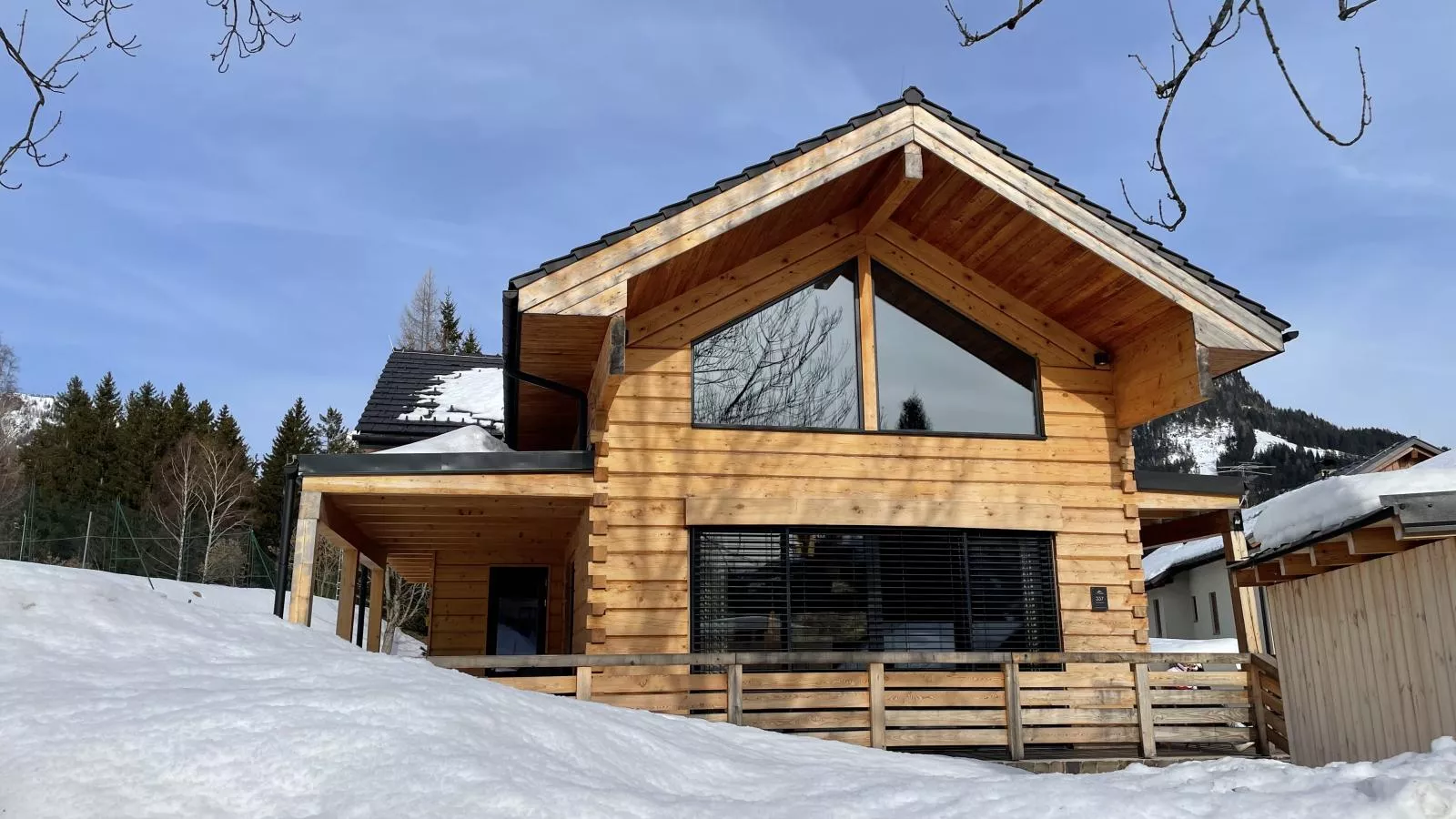 Holzchalet Tauplitz-Exterieur winter