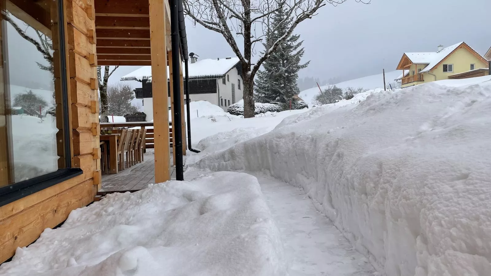 Holzchalet Tauplitz-Tuin winter