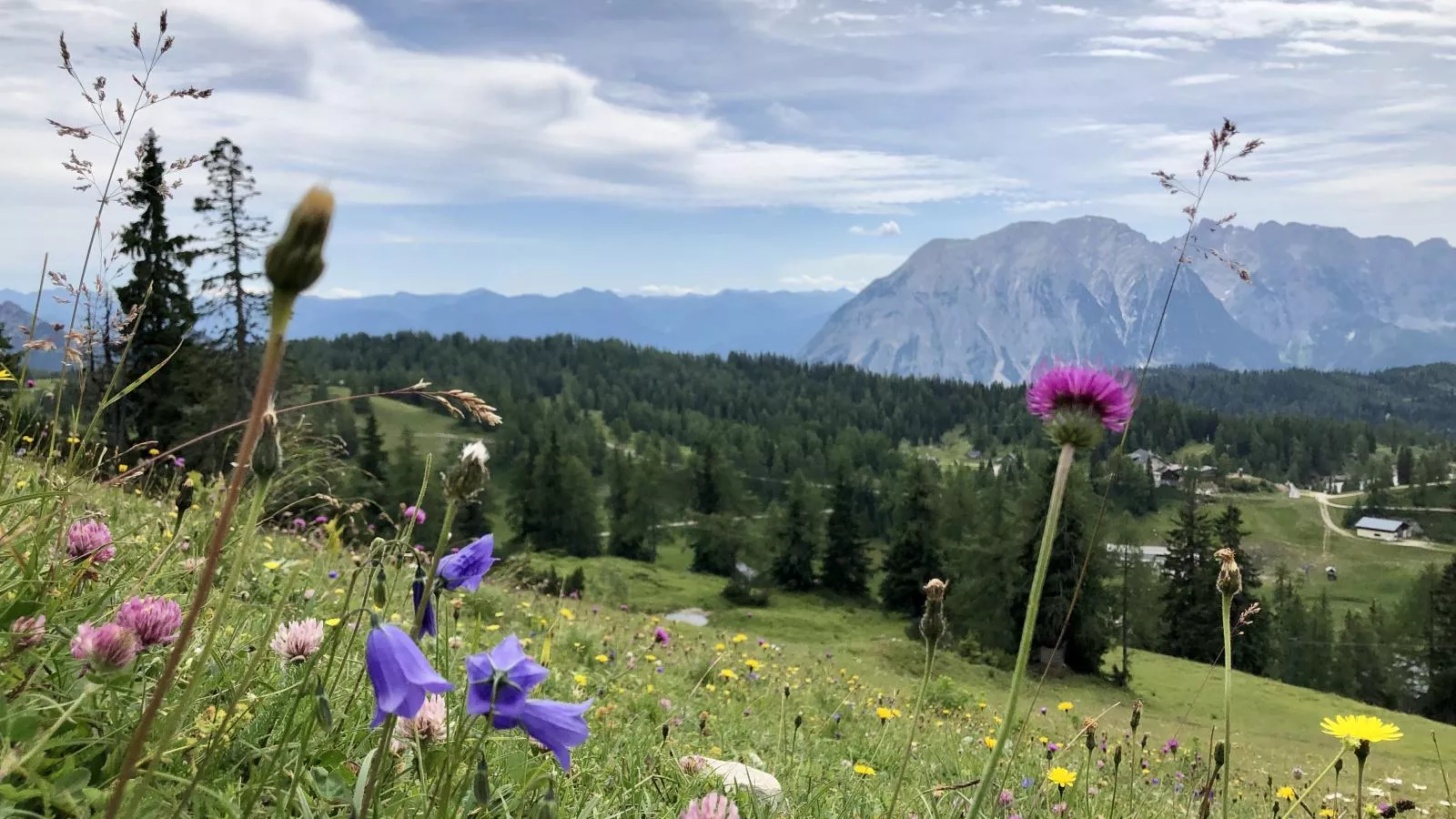 Holzchalet Tauplitz-Gebieden zomer 5km