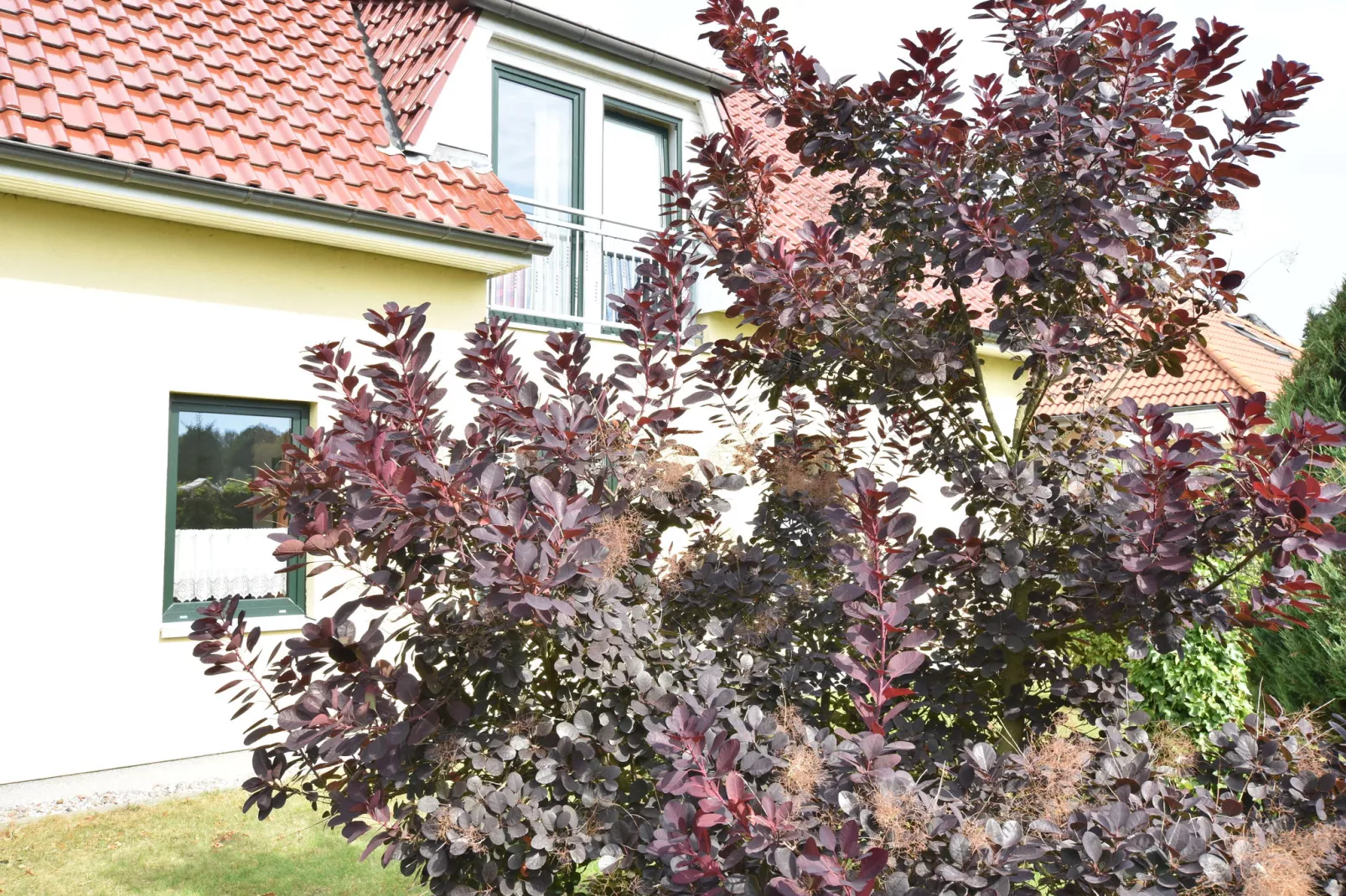 Seeschwalbenweg-Tuinen zomer