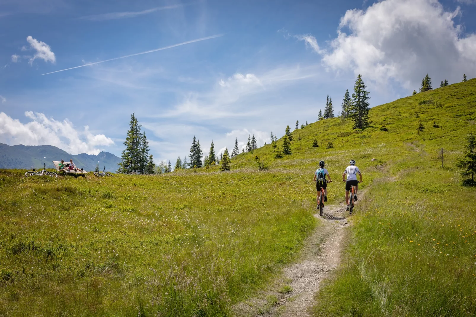 Ferienhaus Alpen Apart - 6 Personen-Gebieden zomer 1km