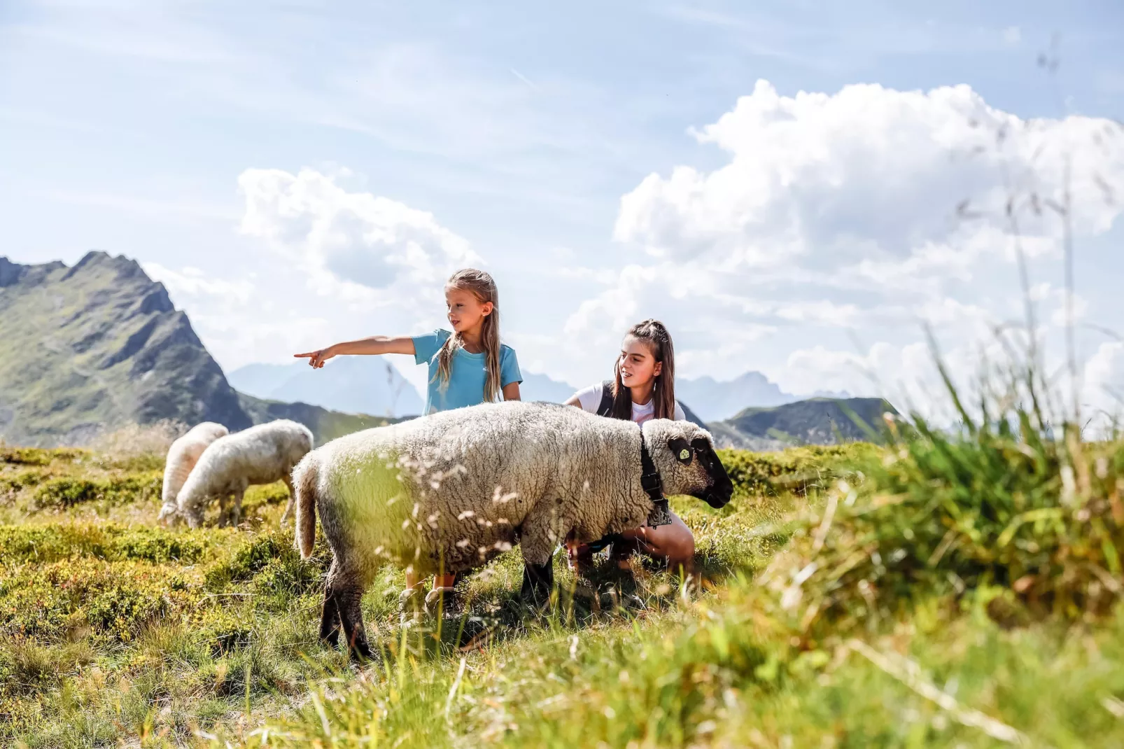 Ferienhaus Alpen Apart - 6 Personen-Gebieden zomer 5km