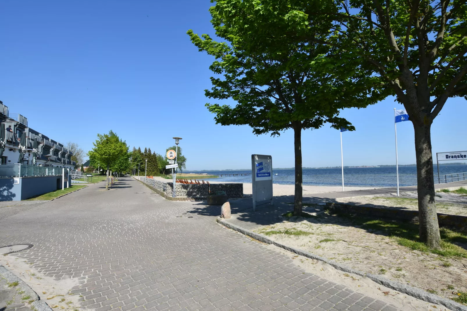 Lachmöwe 2-Gebieden zomer 20km