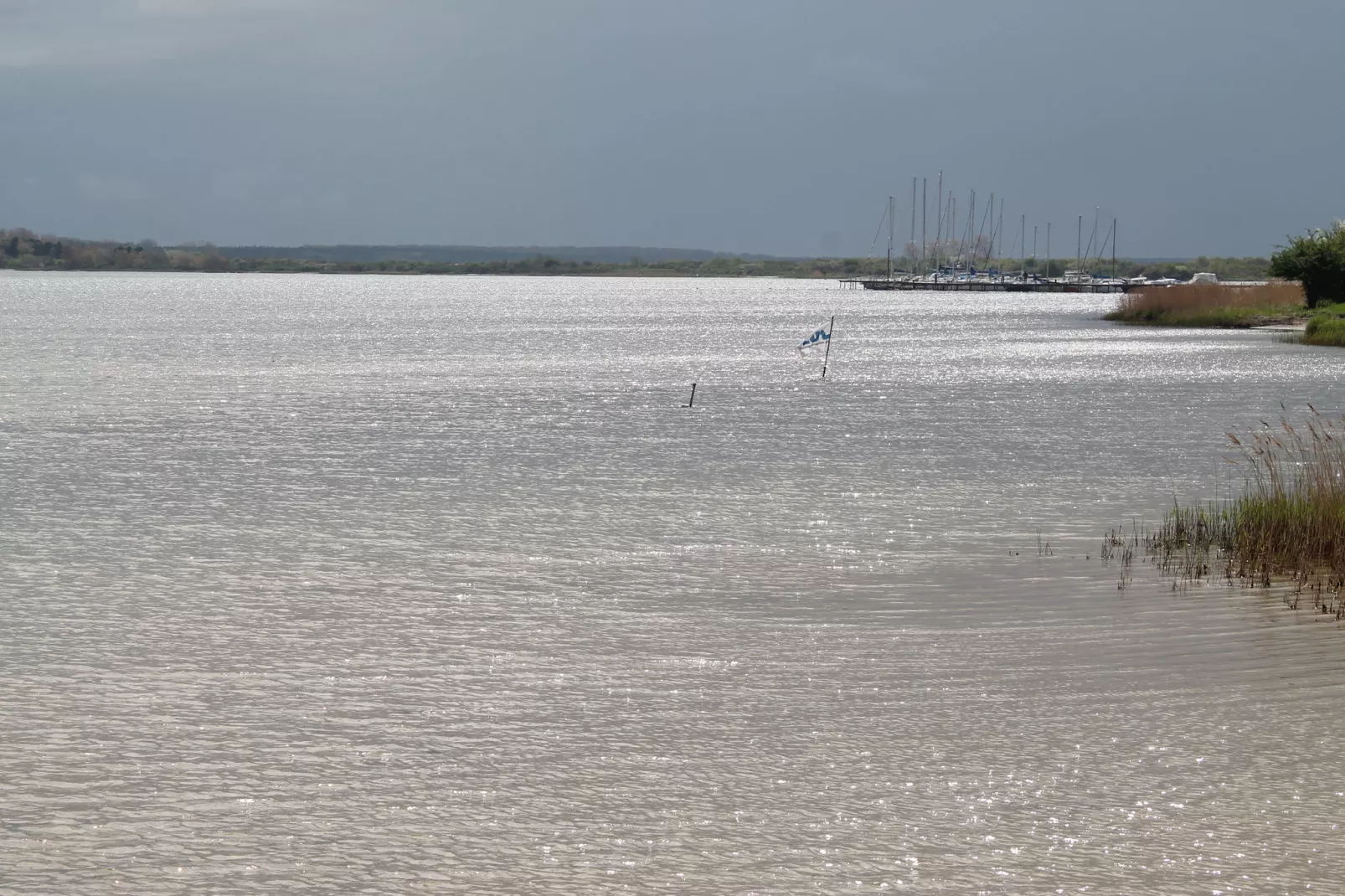 Eisente 4-Gebieden zomer 5km