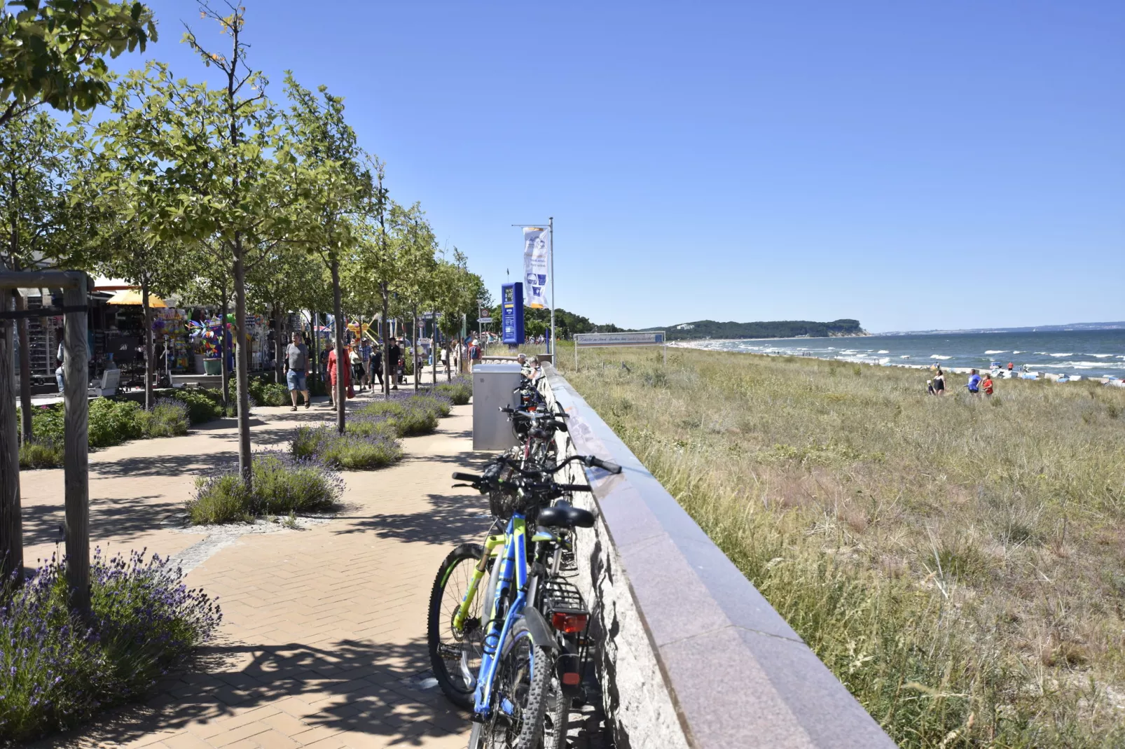 Eisente 4-Gebieden zomer 1km