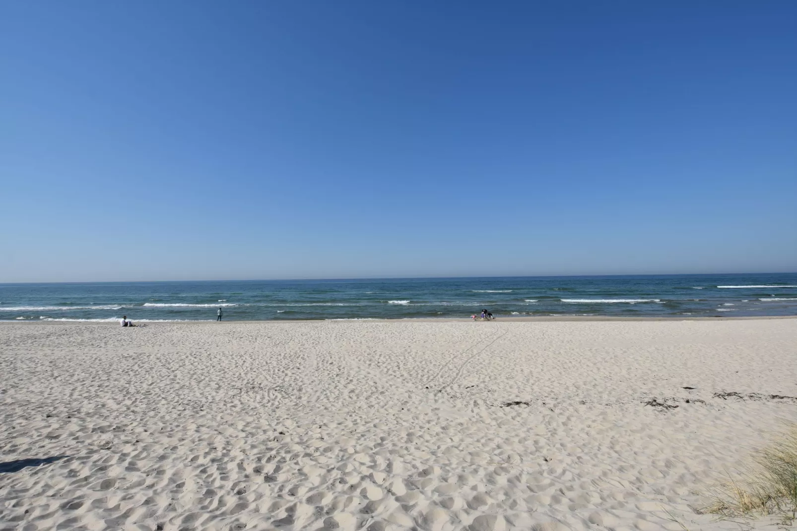 Leuchtfeuerwärter 7-Gebieden zomer 20km