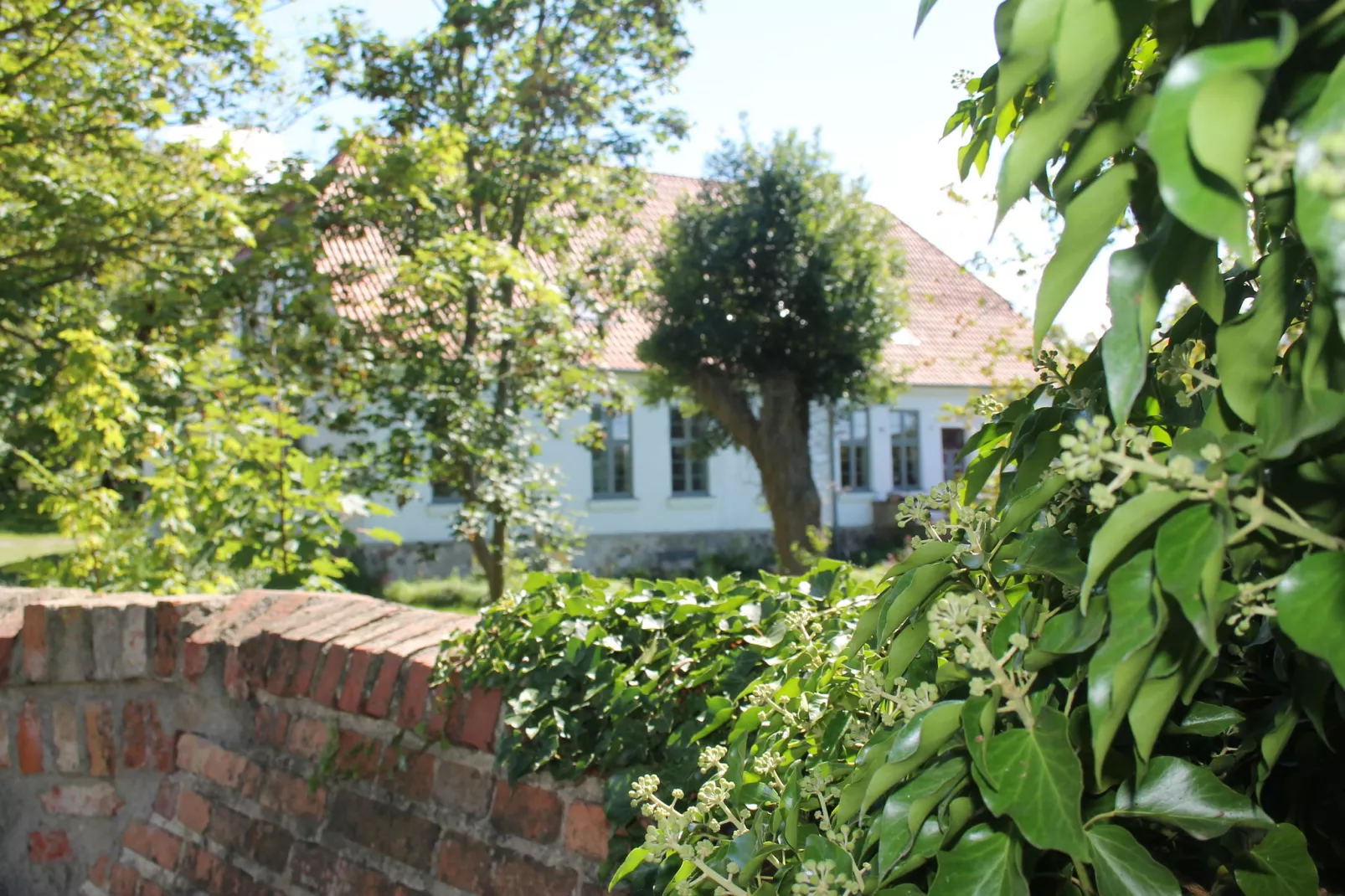 Sommerhaus Steffenshagen-Buitenkant zomer