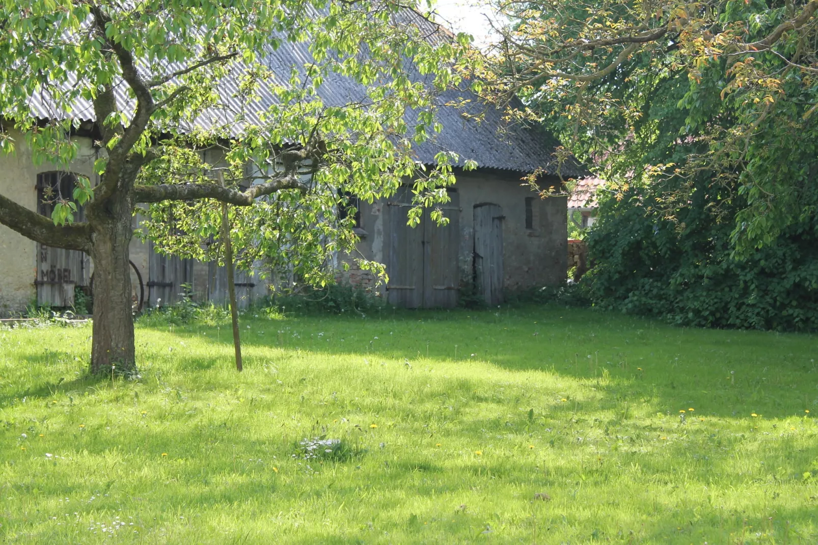 Sommerhaus Steffenshagen-Tuinen zomer