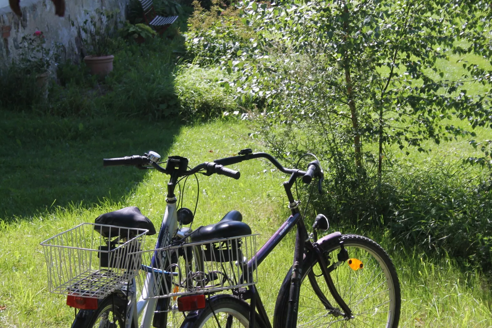 Sommerhaus Steffenshagen-Tuinen zomer