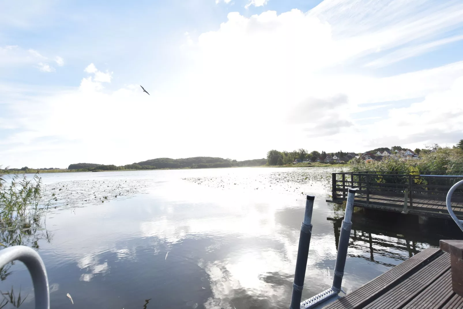 Das Haus Am See mit Kamin und eigenem Boot-Uitzicht zomer