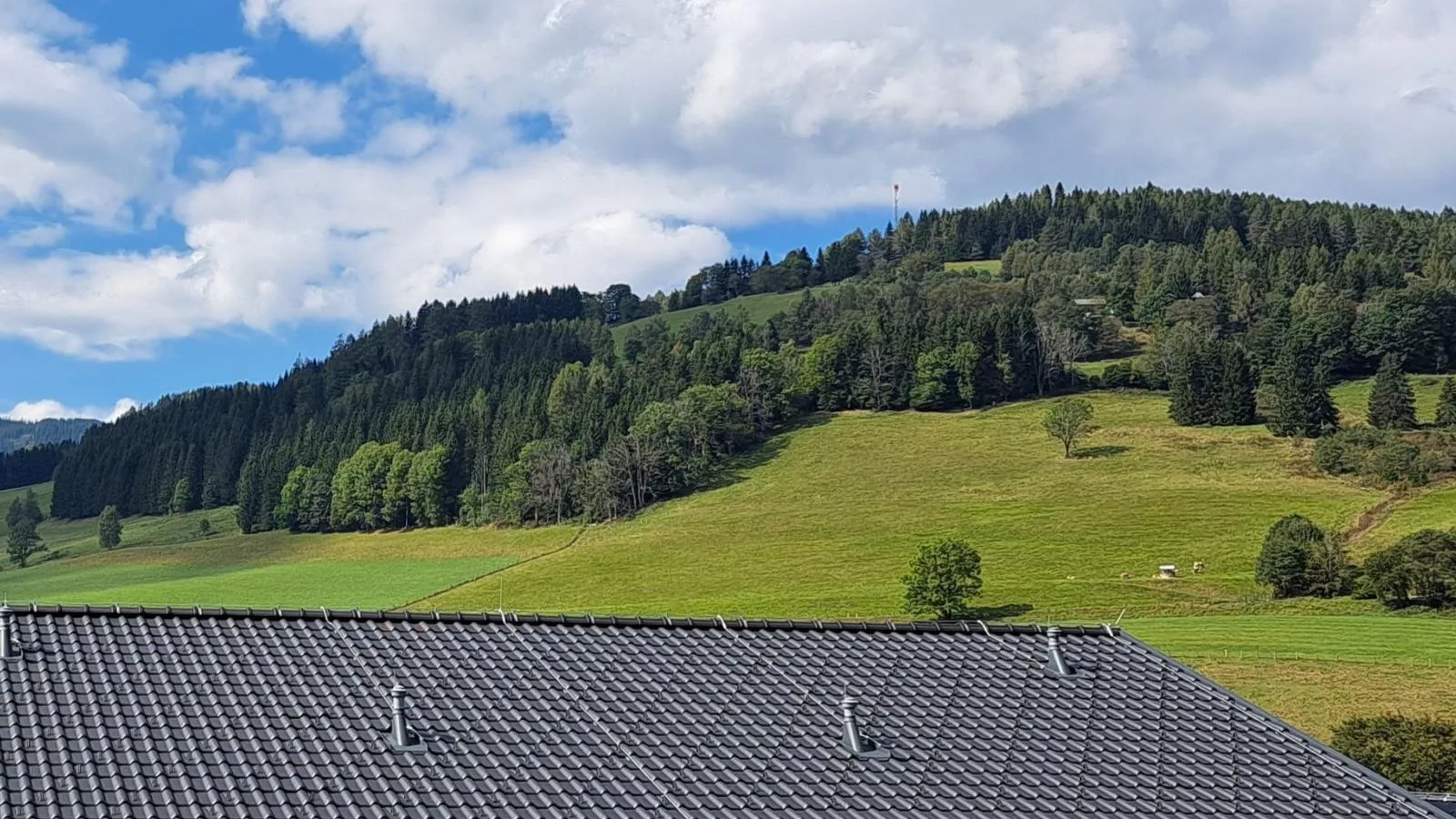 Almchalet Alpenglück-Uitzicht zomer