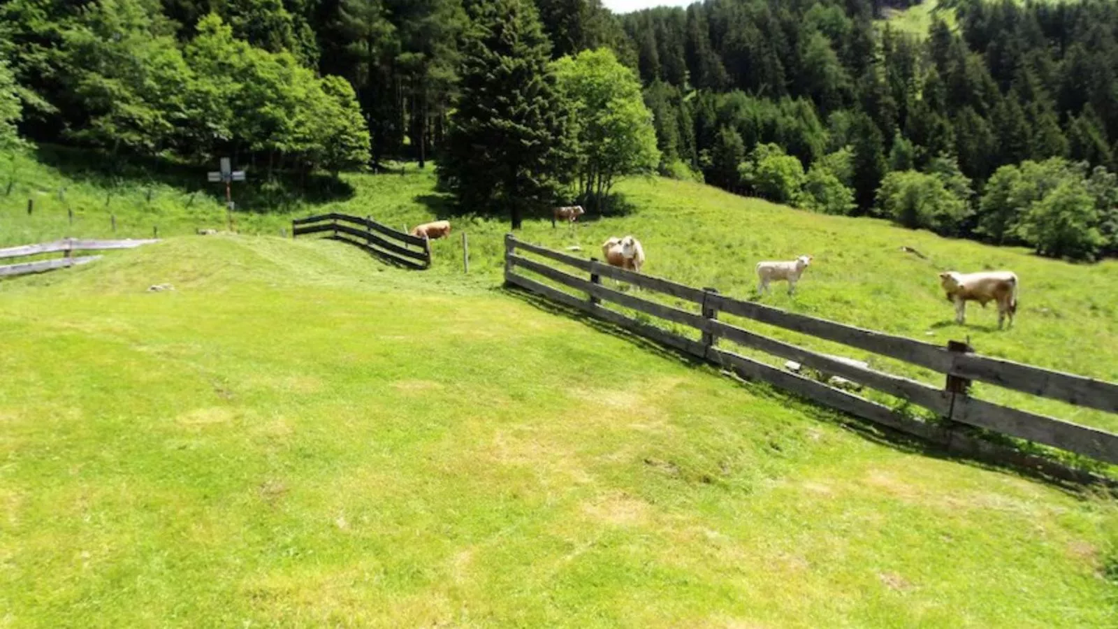 Almhütte Unterhofer-Gebieden zomer 1km