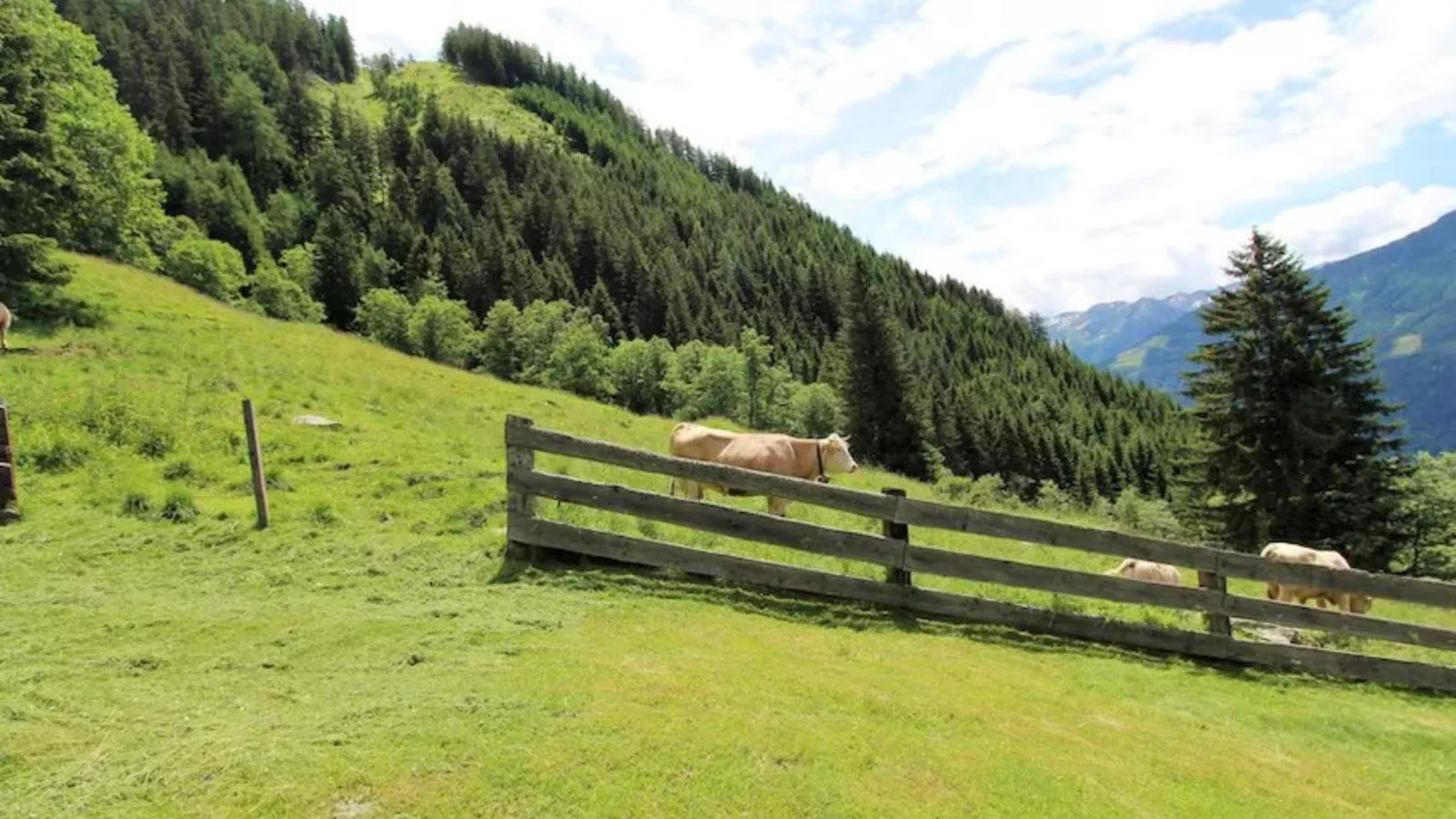 Almhütte Unterhofer-Gebieden zomer 1km