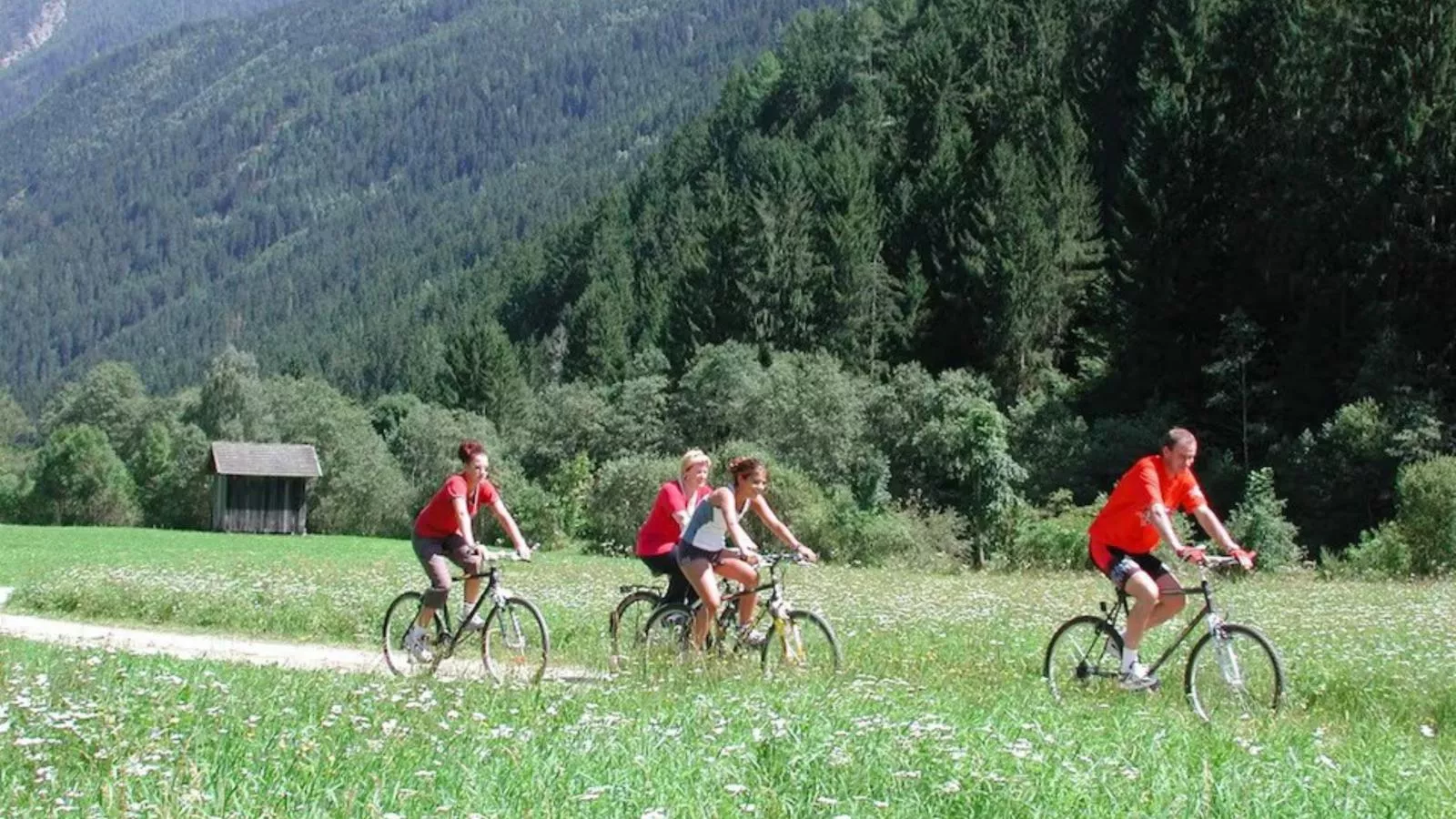 Almhütte Unterhofer-Gebieden zomer 5km