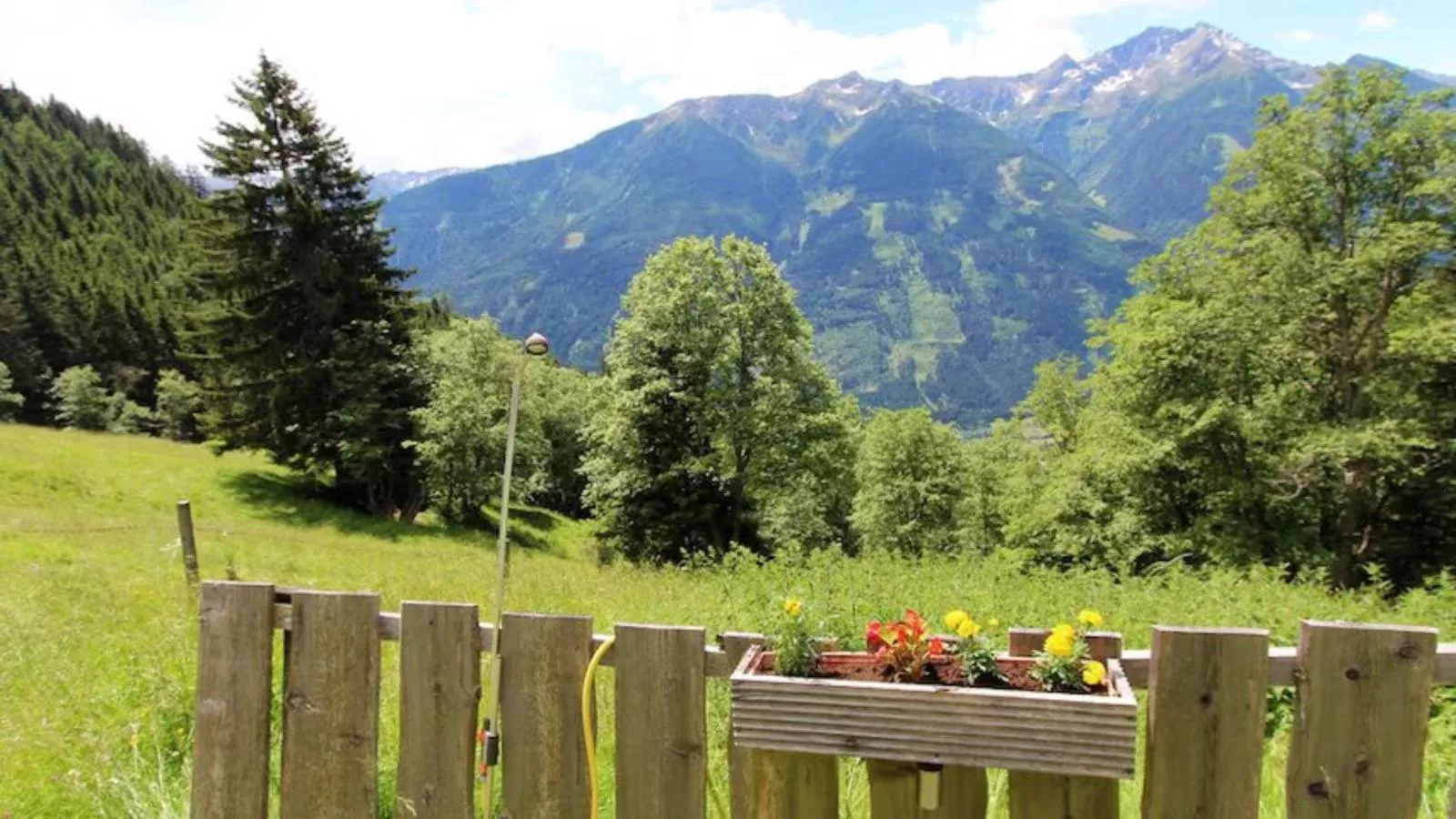 Almhütte Unterhofer-Uitzicht zomer