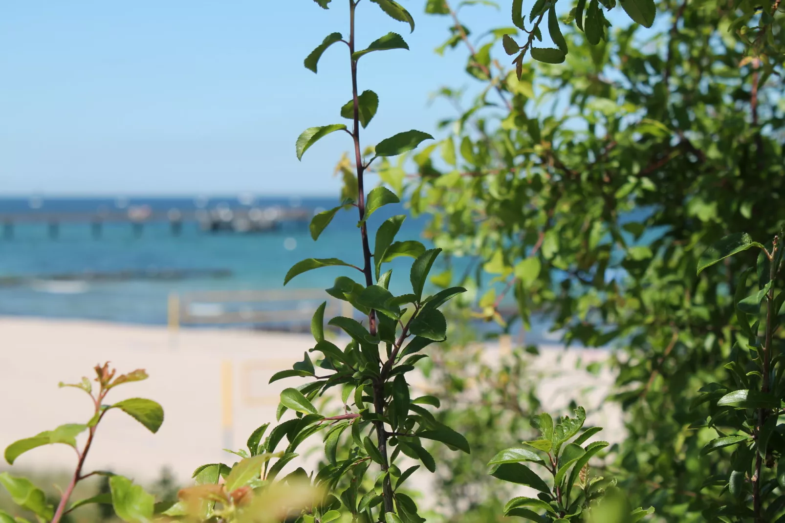 Urlaub im Landhaus an der Ostsee mit Garten-Gebieden zomer 20km