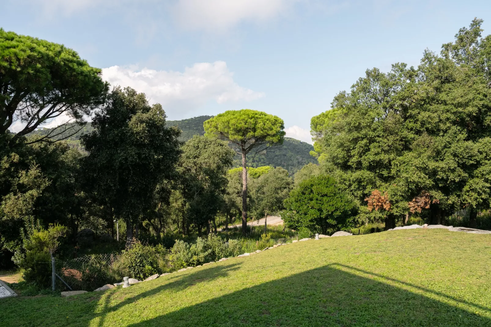 Villa Sant Andreu de Llavaneres-Uitzicht zomer