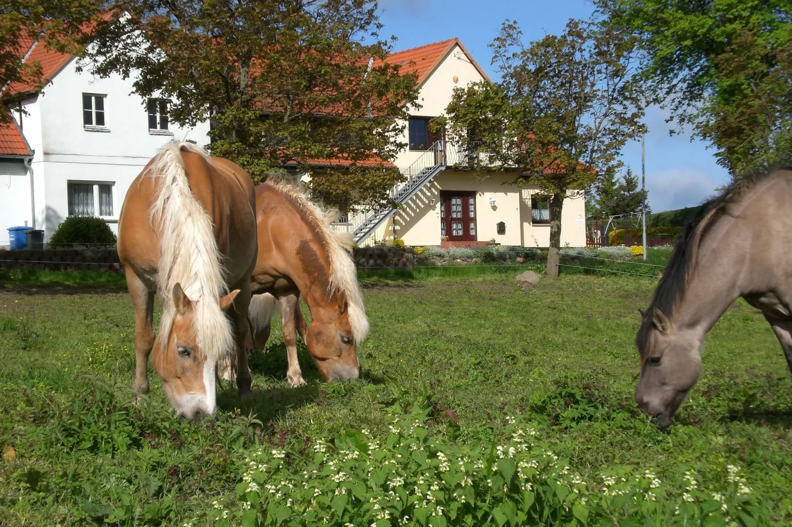 Ferienwohnung mit Feldblick-Sfeer