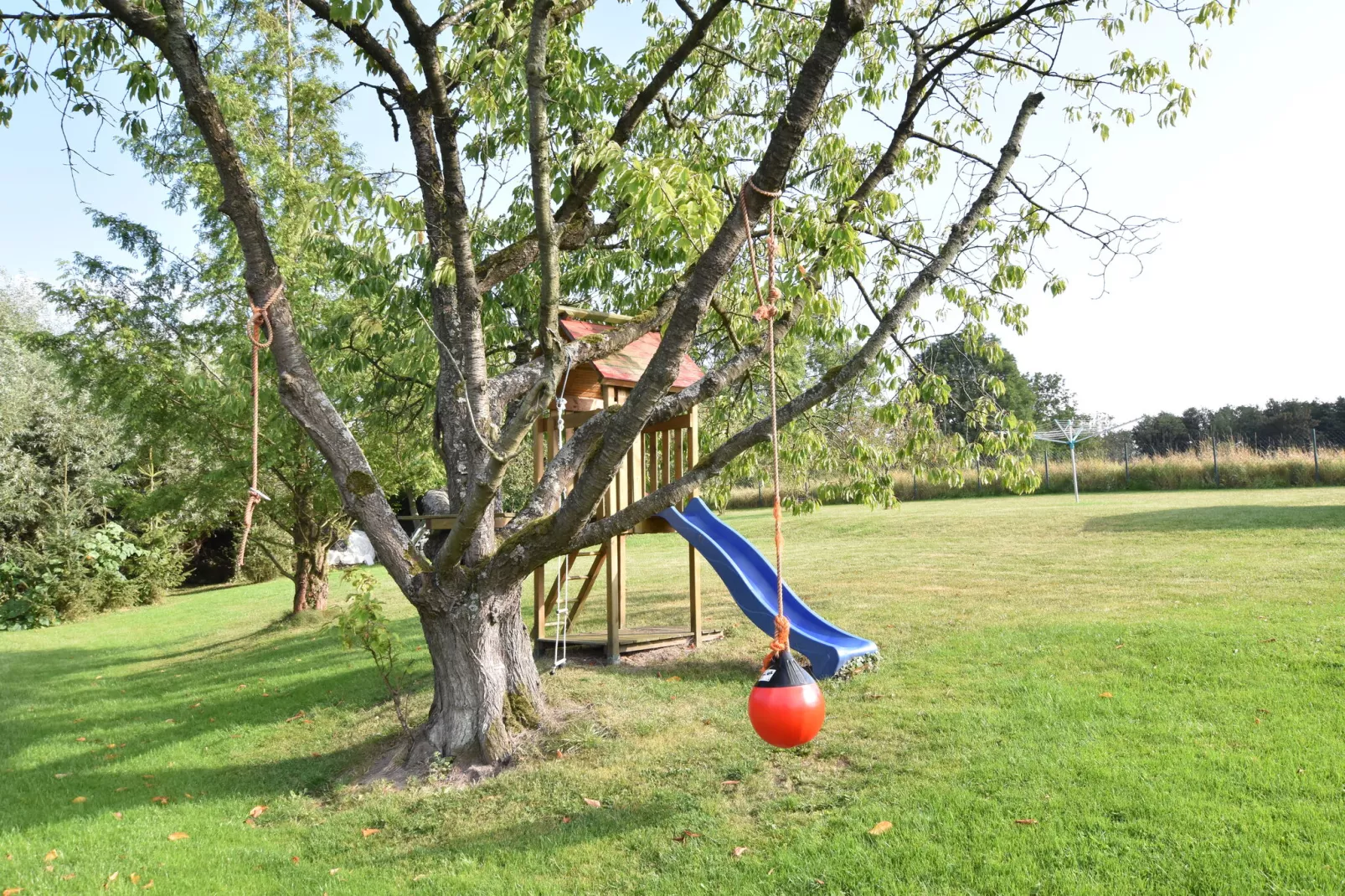 Platz im Grünen 2-Tuinen zomer