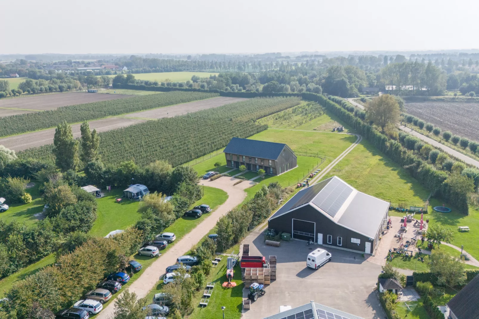 Vroondijk 2- duinappel en zonnebes-Buitenkant zomer