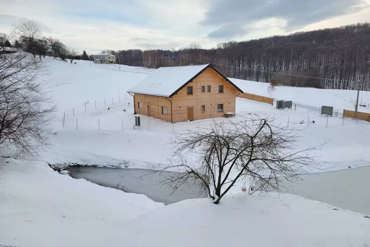 Komfortowy dom wakacyjny z basenem dla 6 osób-Exterieur winter