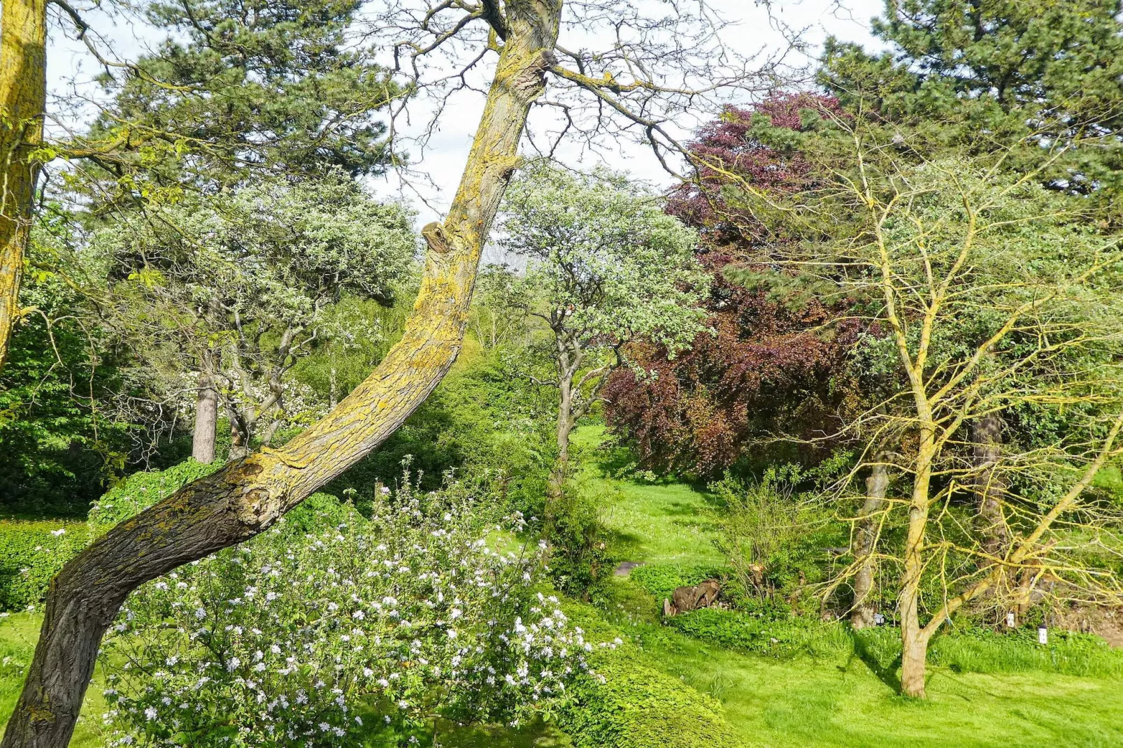 4 persoons vakantie huis in Faaborg-Buitenlucht