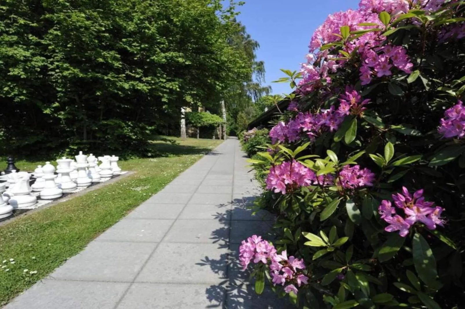 Vakantiehuis met rustgevende tuin-Niet-getagd