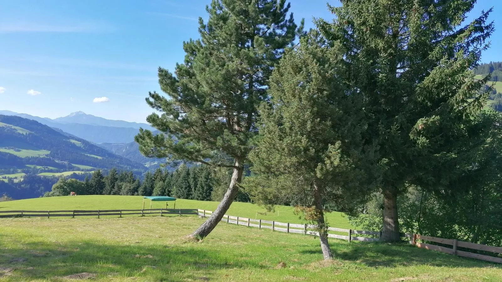 Hütte zum Dillental-Tuinen zomer