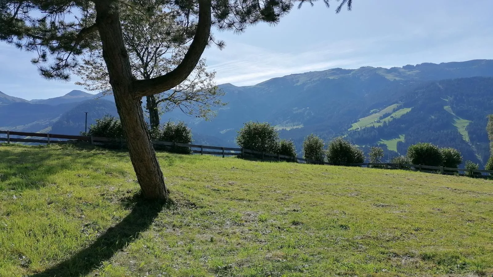 Hütte zum Dillental-Tuinen zomer