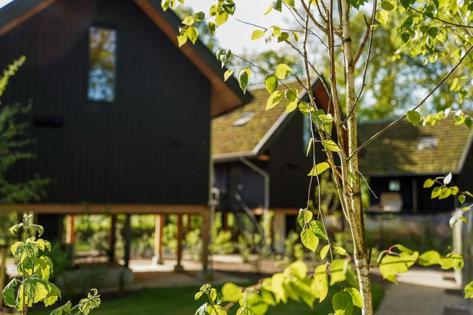 Natuur Villa  4 personen-Sfeer