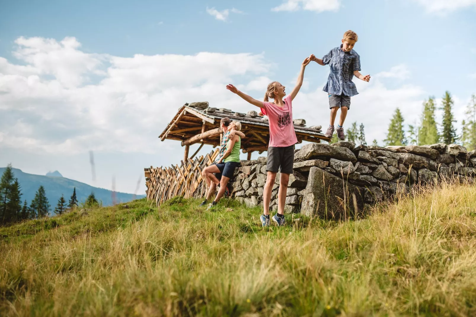 Bauernhaus Hofer-Gebieden zomer 5km