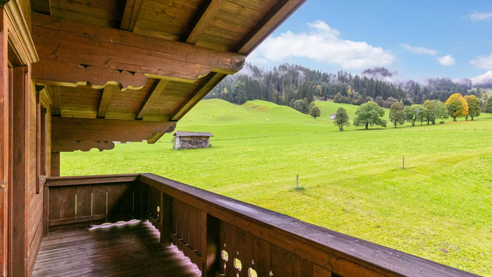 Chalet Rettensteinblick-Uitzicht zomer