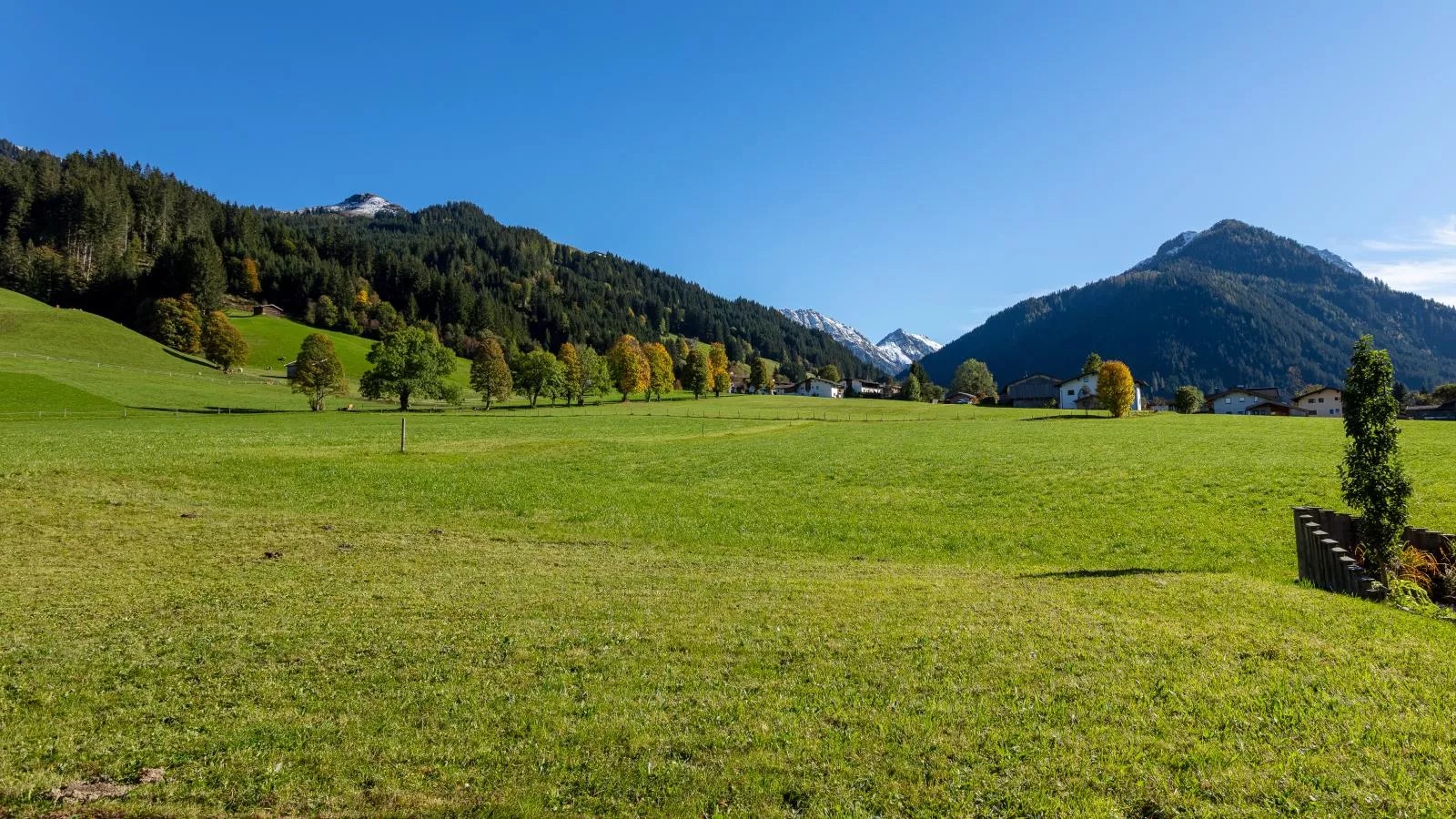 Chalet Rettensteinblick-Uitzicht zomer