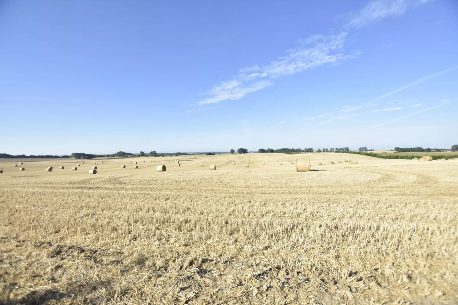 Ferienwohnung Sprenzer-Gebieden zomer 5km