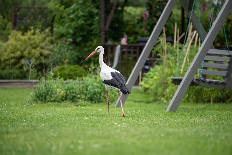 Osada Trzy Siostry domek nr 1 dla 4 osób-Tuinen zomer