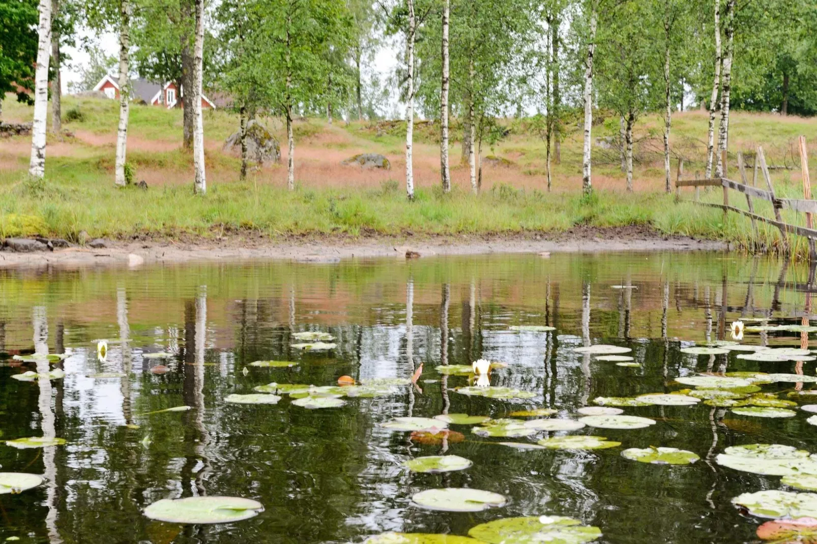 6 persoons vakantie huis in LÅNGARYD-Waterzicht