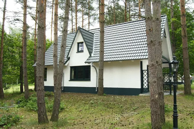 Ferienhaus Typ 3 95 qm-Buitenkant zomer