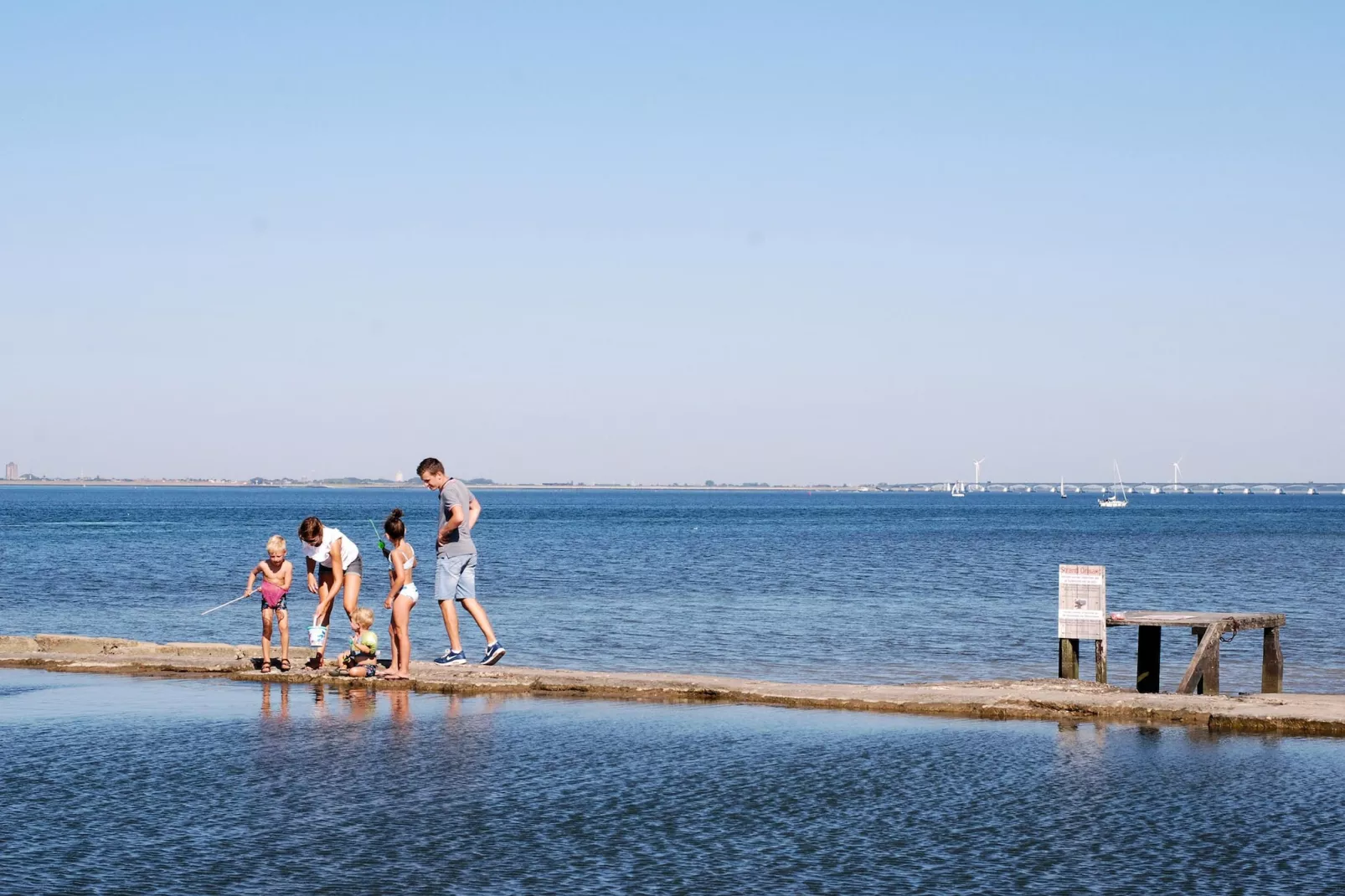 8-persoons geschakeld-Gebieden zomer 1km